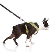 Comfort X Harness Dual Snap Dog Harness