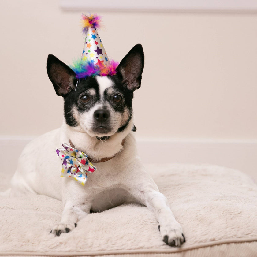 H&K Party Hat Superstar with SnugFit®