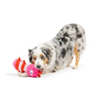 Fetchies® Love Bug Dog Toy