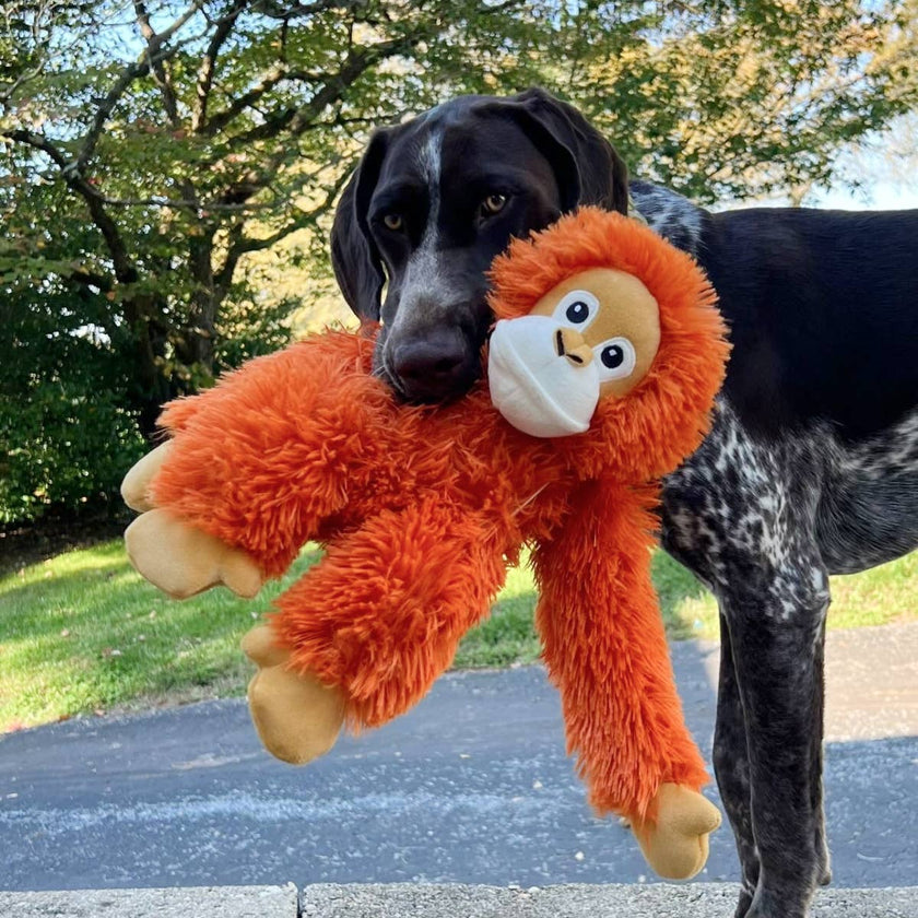 Dog Toy Orangutan Orange Plush Rope Body Toy