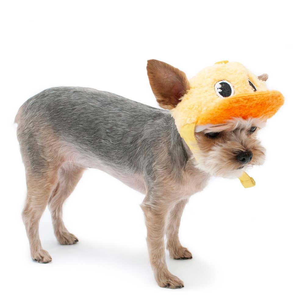 Duck Dog or Cat Baseball Costume Hat