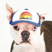 Trucker Hat for Dogs/Cats: Island Sunset Black / S
