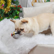 Dog Toy Penguin Ball Happy Woofmas Christmas Toy