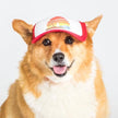 Trucker Hat for Dogs/Cats: Island Sunset Red / Small