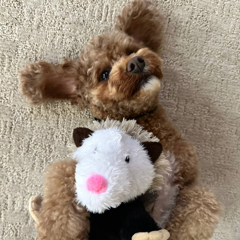 Dog Toy Possum Rope Body Plush Toy