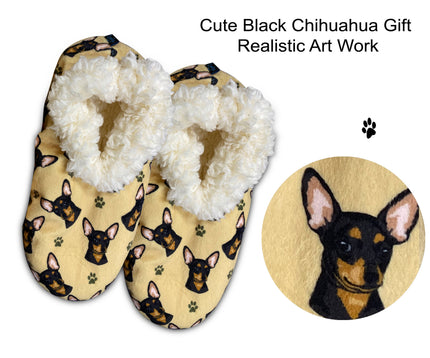 Chihuahua, Black Slippers