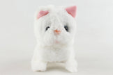 CASPER the Persian Walking Cat Toy