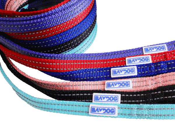 Dog Lead Pensacola Bay Dog Leash