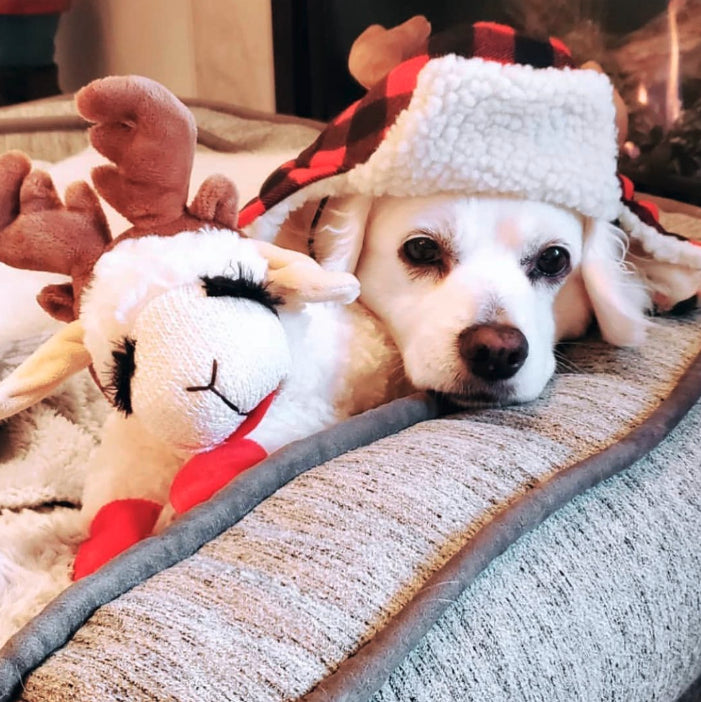 Holiday Lamb Chop w/Antlers Christmas Plush Dog Toy
