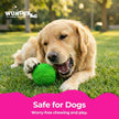 WUNDERball 36 Pack Dog Toy Wholesale Display