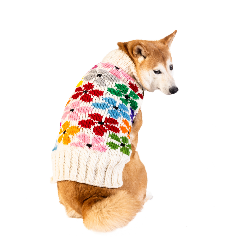 Bloom Dog & Cat Pet Sweater