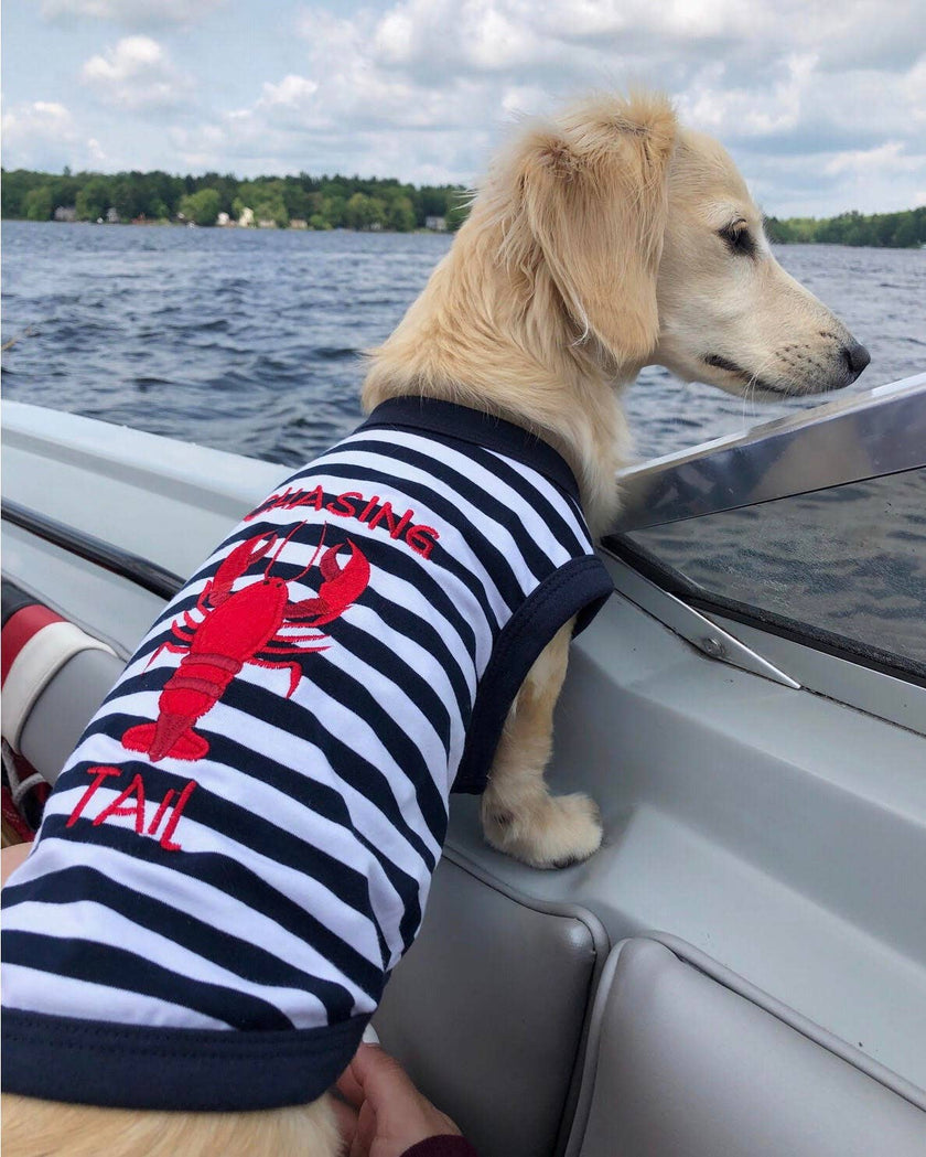 Chasing Tale Lobster Dog or Cat Pet Clothing