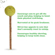 Meowijuana® Lollies - Silvervine Sticks With Catnip