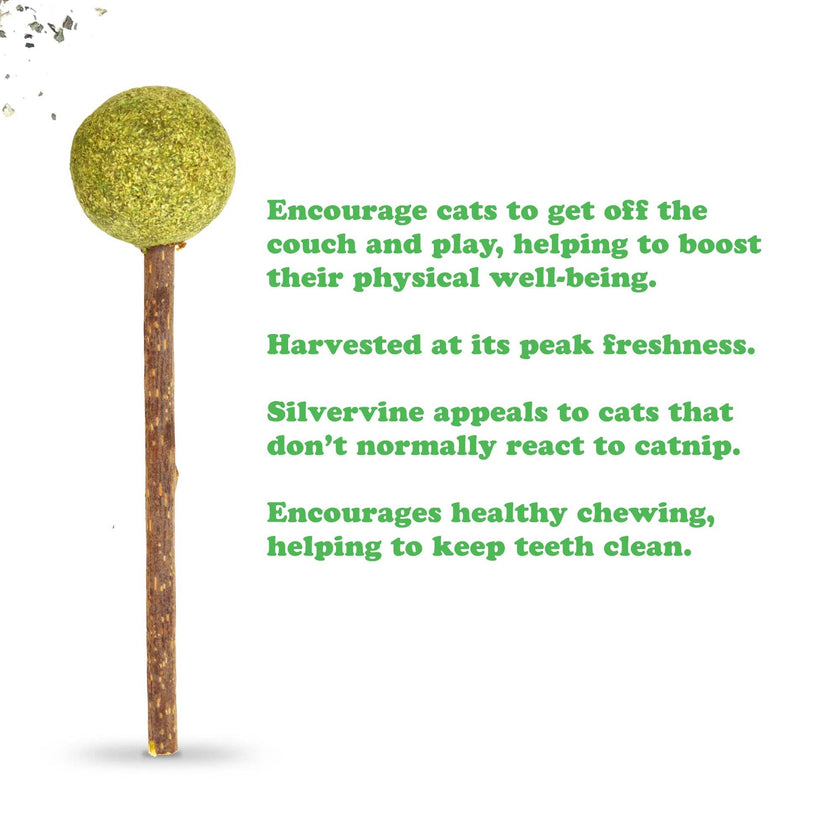 Meowijuana® Lollies - Silvervine Sticks With Catnip