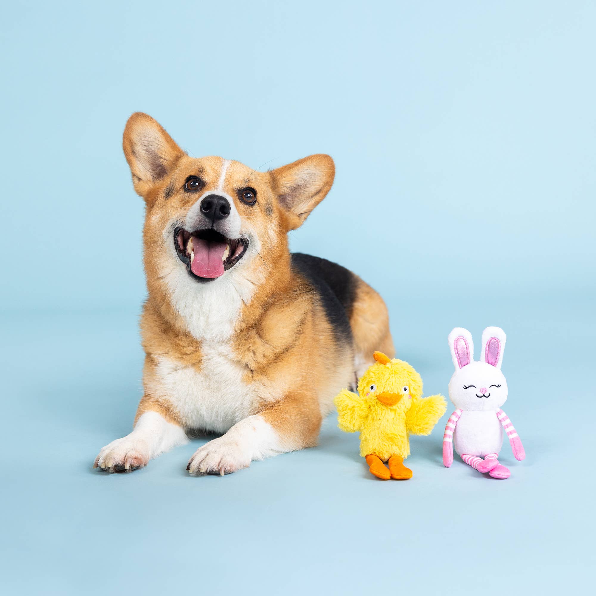 Dog Toy Bunny Dressed Dinosaur Have A Hoppy Easter Latex Toy