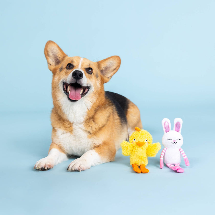 Dog Toy Bunny Dressed Dinosaur Have A Hoppy Easter Latex Toy