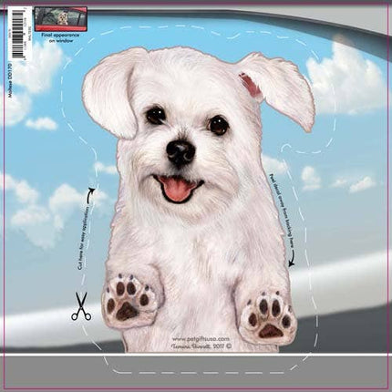 Maltese - Dogs On The Move Window Decal