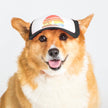 Trucker Hat for Dogs/Cats: Island Sunset Black / S