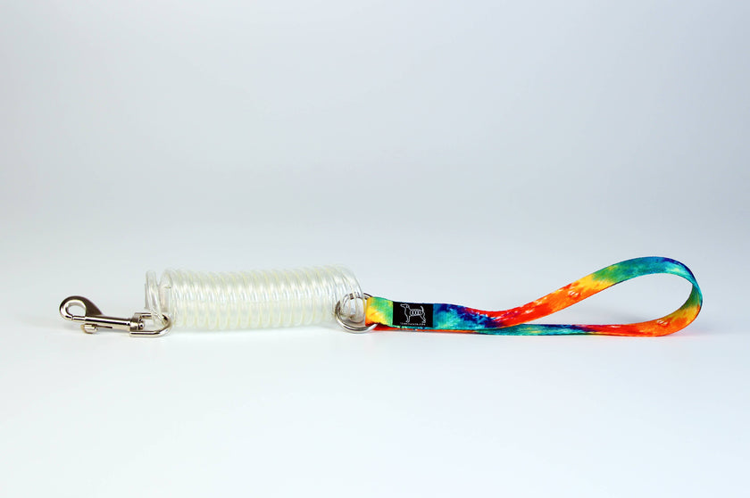 Unique Coil Pet Leash
