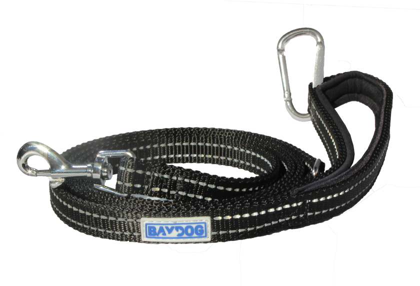Dog Lead Pensacola Bay Dog Leash