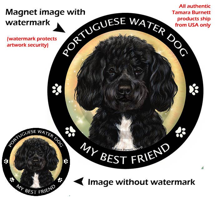 Portuguese Water Dog Black & White My Best Friend Magnet