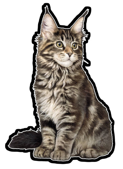 Maine Coon  - Vinyl Sticker