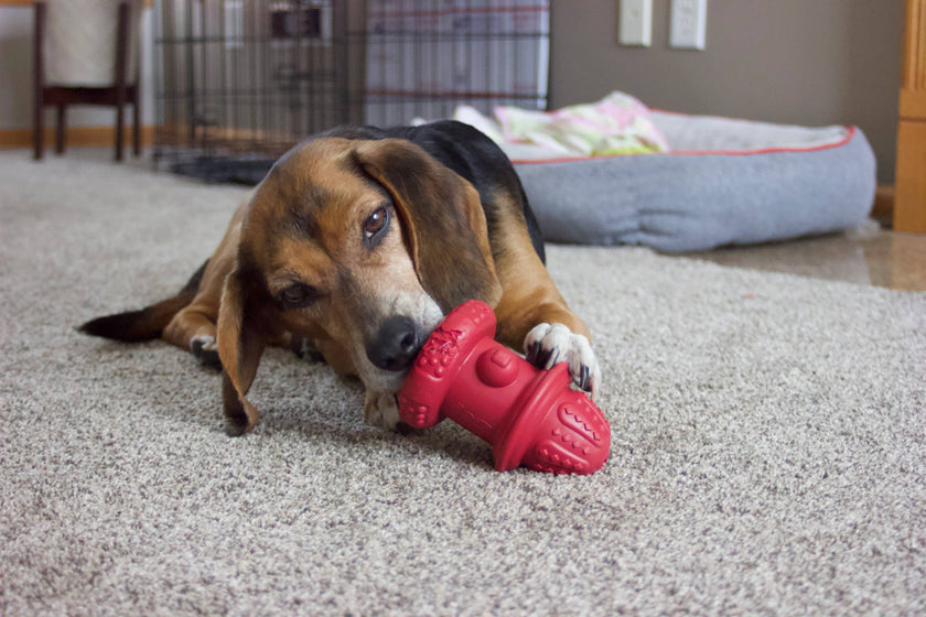 Double Wall Hydrant Treat Hiding Toy- Made in the USA