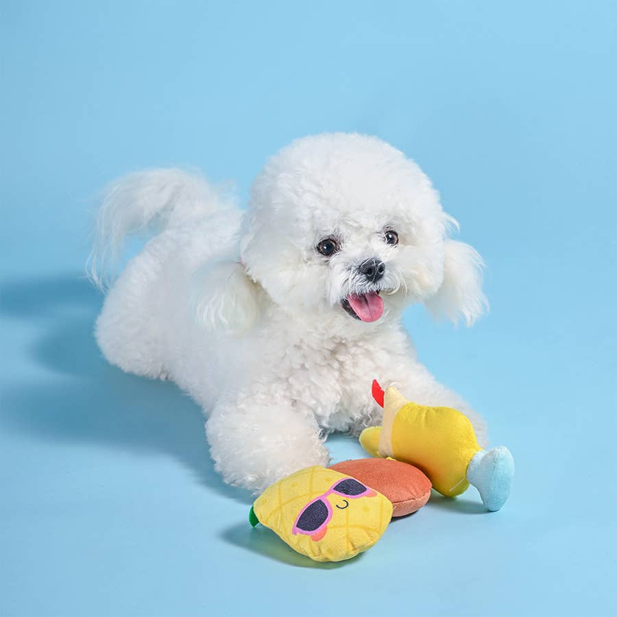 Dog Toy Pina Cola, Pineapple and Coconut Plush Toy Set