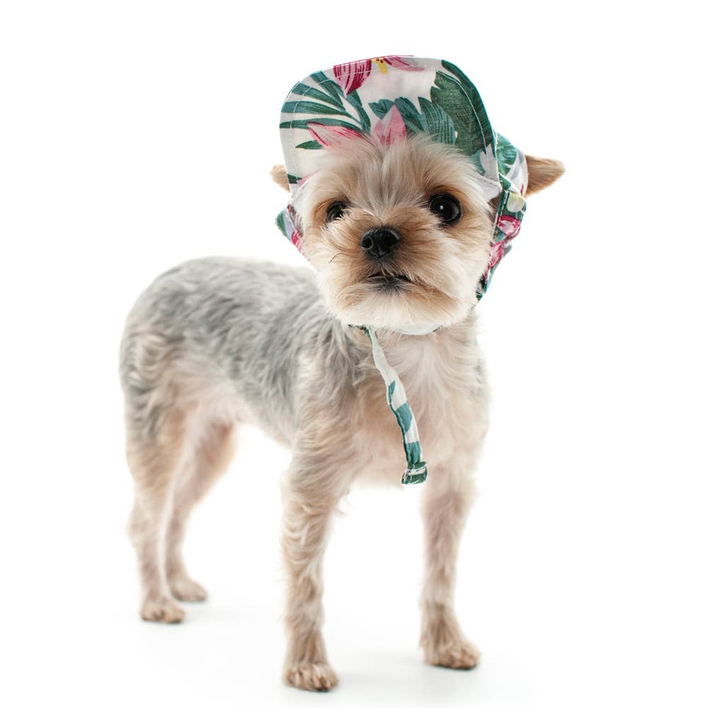 Tropical Island Hawaiian Dog Hat