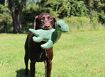 Plush Nessie with Squeaker Dog Toy - 13