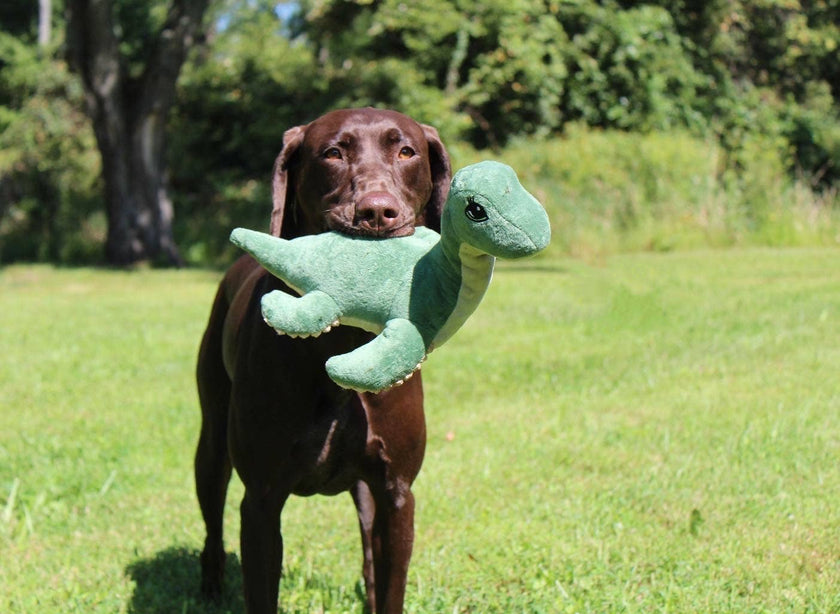 Dog Toy Nessie Green Soft Plush with Squeaker Toy