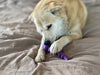 SP Fish Bone Ultra Durable Nylon Dog Chew Toy