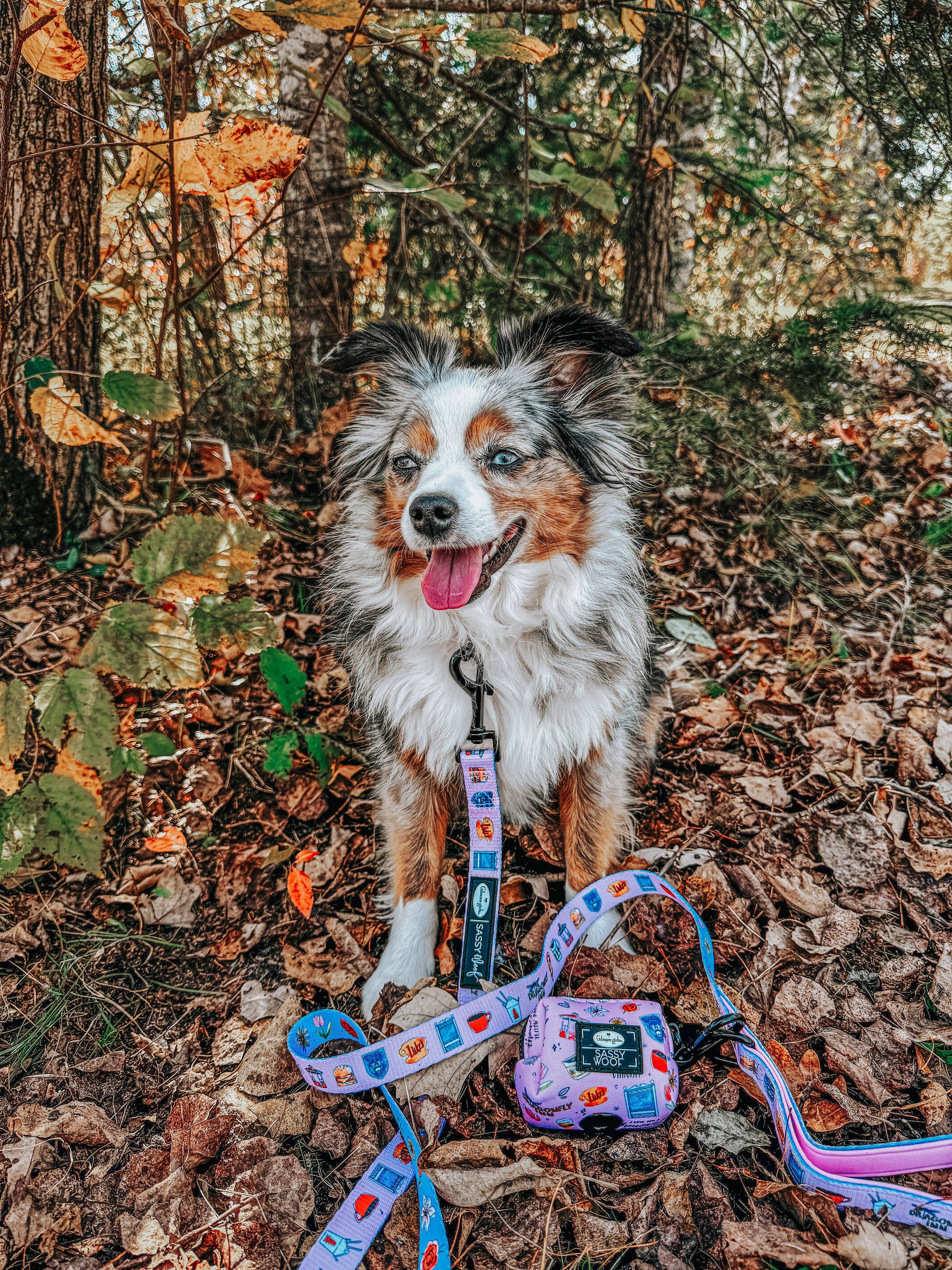 Dog Waste Bag Holder - Gilmore Girls™