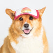 Trucker Hat for Dogs/Cats: Island Sunset Red / M