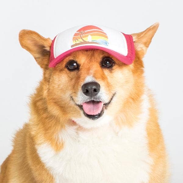Trucker Hat for Dogs/Cats: Island Sunset Red / M