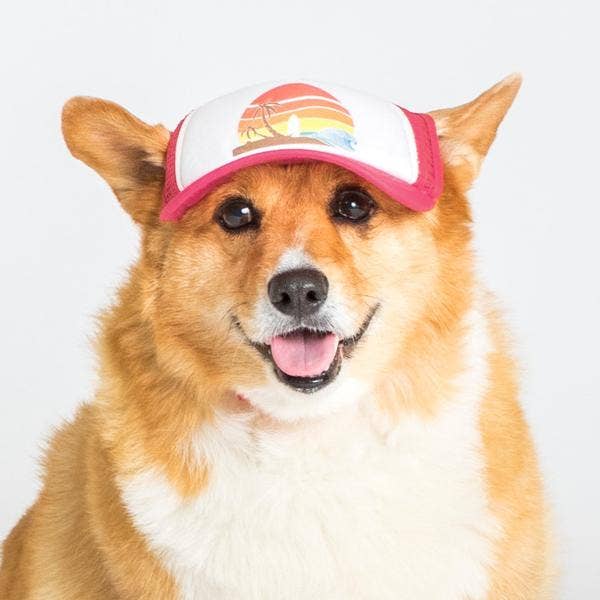 Sunset Trucker Hat for Dogs