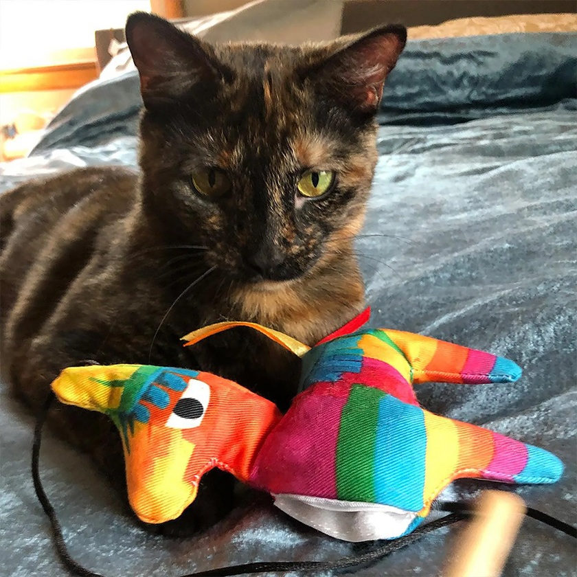 Meowijuana® Get Smashed Llama Piñata Refillable Wand Cat Toy