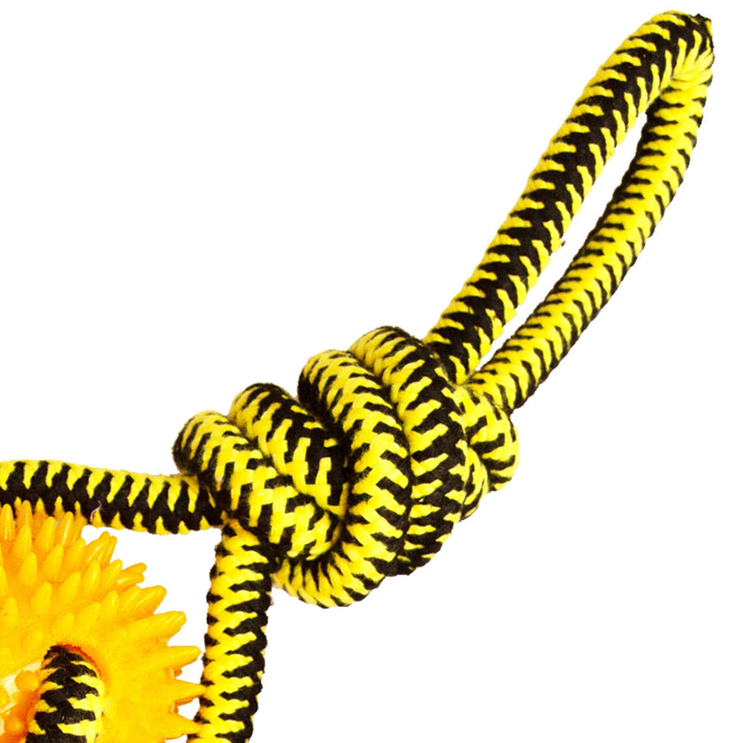 Spikey Beast Rope Dog Toy