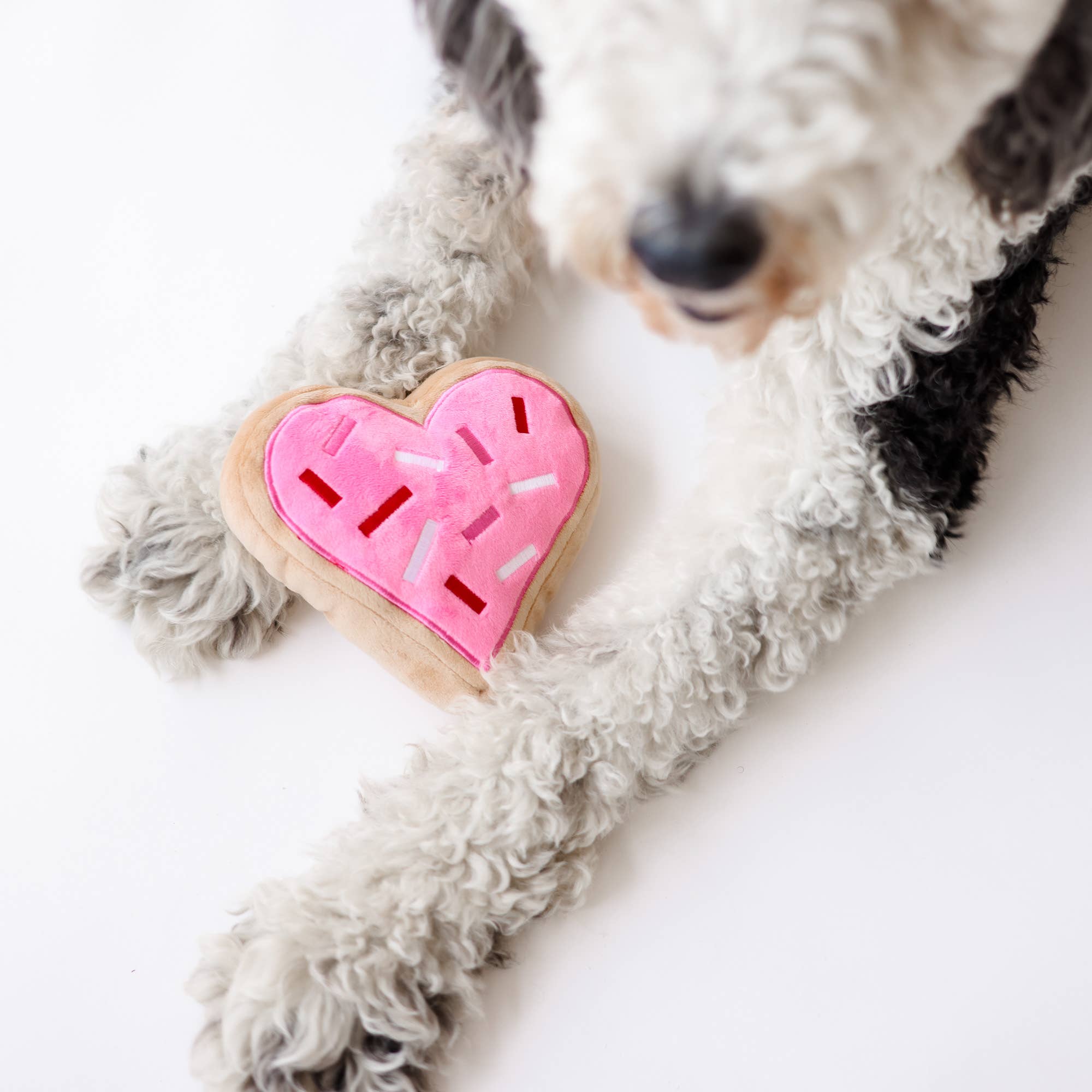 Valentine's Pink Heart Sugar Cookie Dog Toy