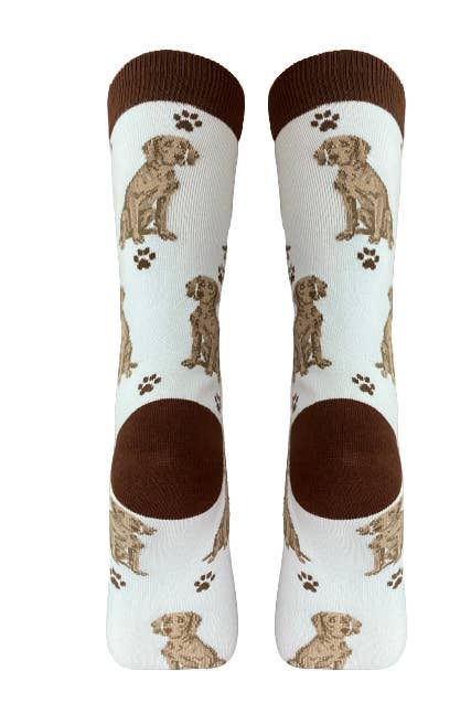 Weimaraner Socks - Fun Novelty Dog Socks - Unisex