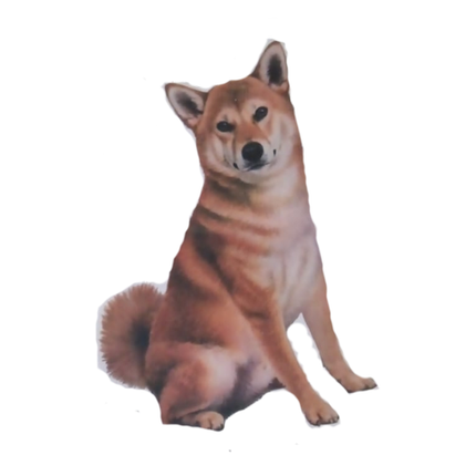 Shiba Inu  - Vinyl Stickers