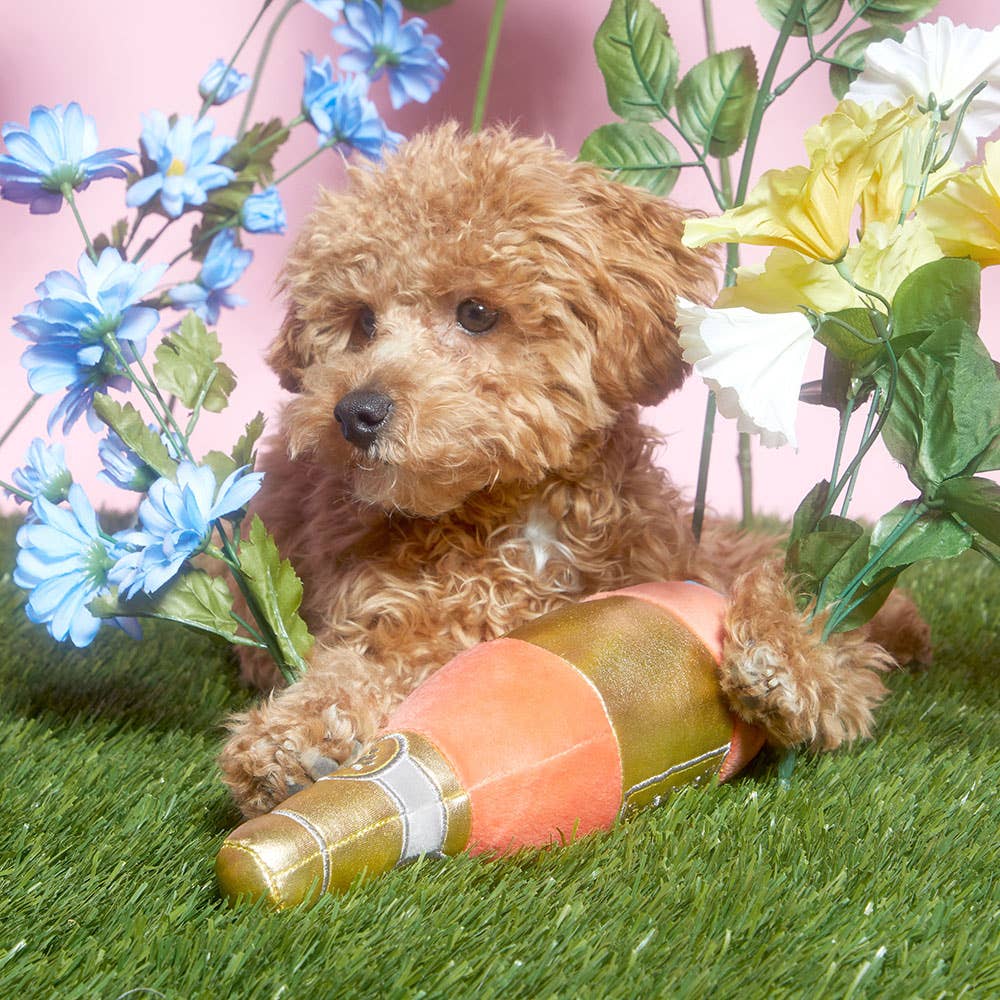 BARK All Day Rosé