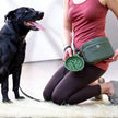 Travel Slow Feeder Dog Bowl with Non-Slip Suction Bottom