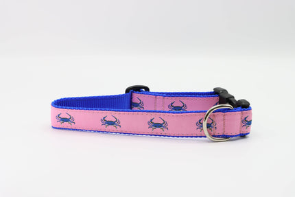 Blue Crab on Pink Side Release Buckle Clip Dog Collar