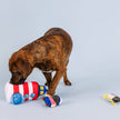 Dog Toy Lighthouse Hide & Seek Ships Ahoy Plush Toy Set