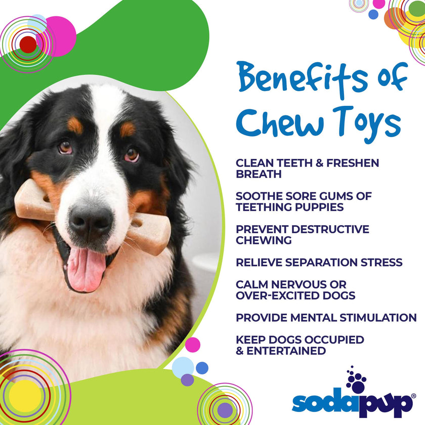 SP Ultra Bone Durable Nylon Dog Chew Toy for Aggressive Chewers