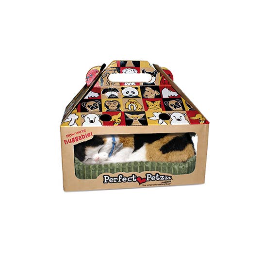 Calico Kitten Perfect Petzzz – Salty Paws