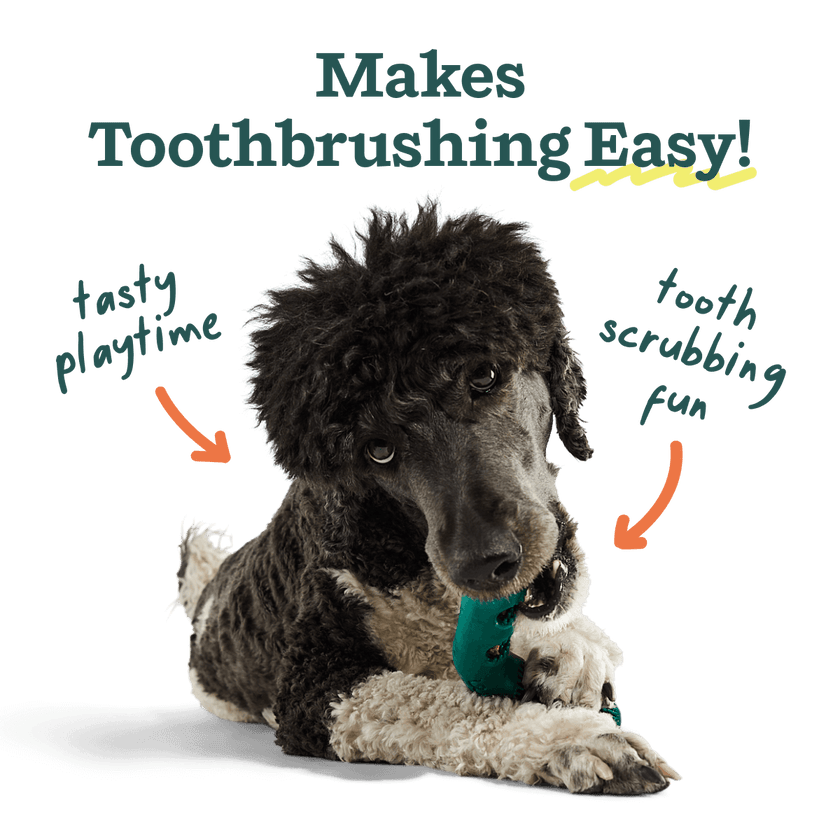 The Bite n' Brush