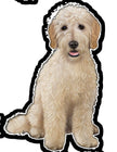 Goldendoodle  - Vinyl Sticker