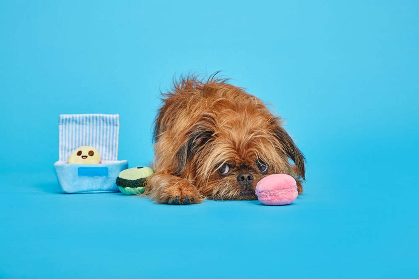 BARK Wee Wee Macarons Dog Toy